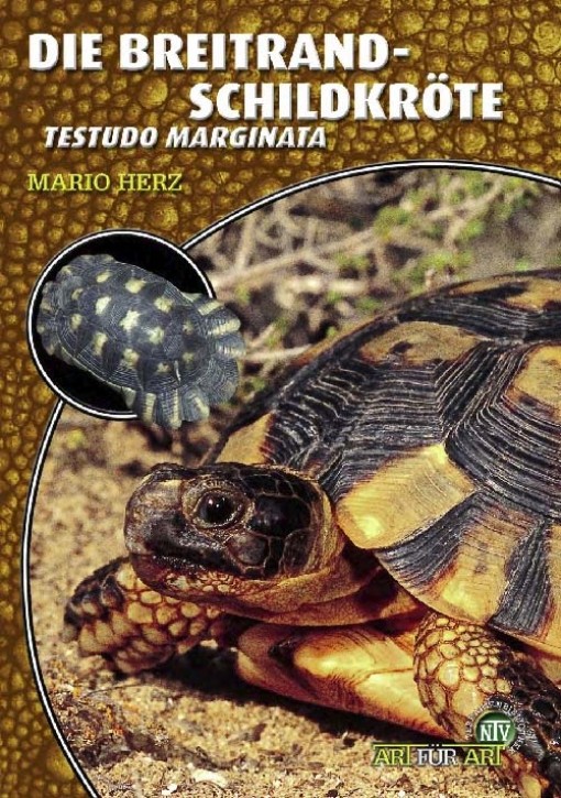 Die Breitrandschildkröte Testudo marginata. Mario Herz