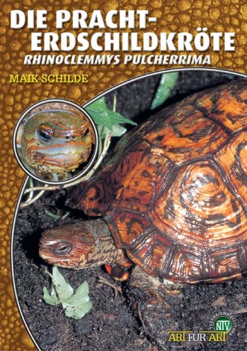 Die Pracht-Erdschildkröte Rhinoclemmys pulcherrima. Maik Schilde