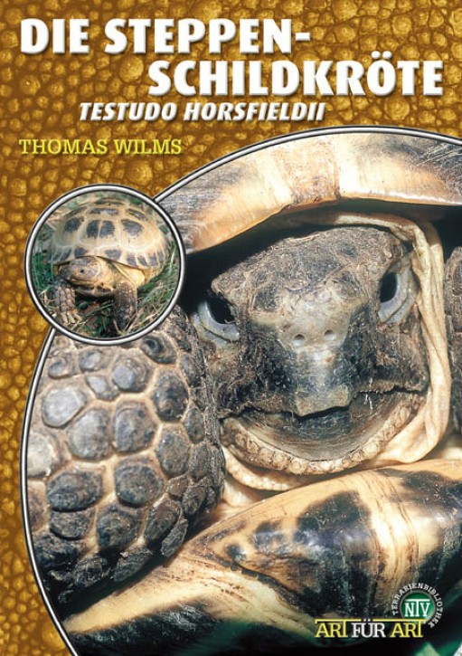 Die Steppenschildkröte Testudo horsfieldii, Vierzehenschildkröte Agrionemys horsfieldii. Thomas Wilms