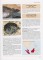 Asiatische Sumpfschildkröten - Die Familie Geoemydidae in Südostasien, China und Japan. Maik Schilde