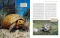 Das Schildkrötenjahr - Freilandbiologie und Haltung europäischer Landschildkröten über den Jahresverlauf. Michael Wirth